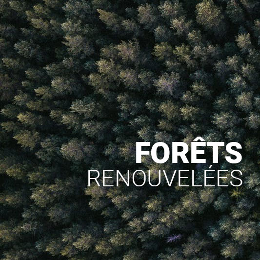 forets renouvelees